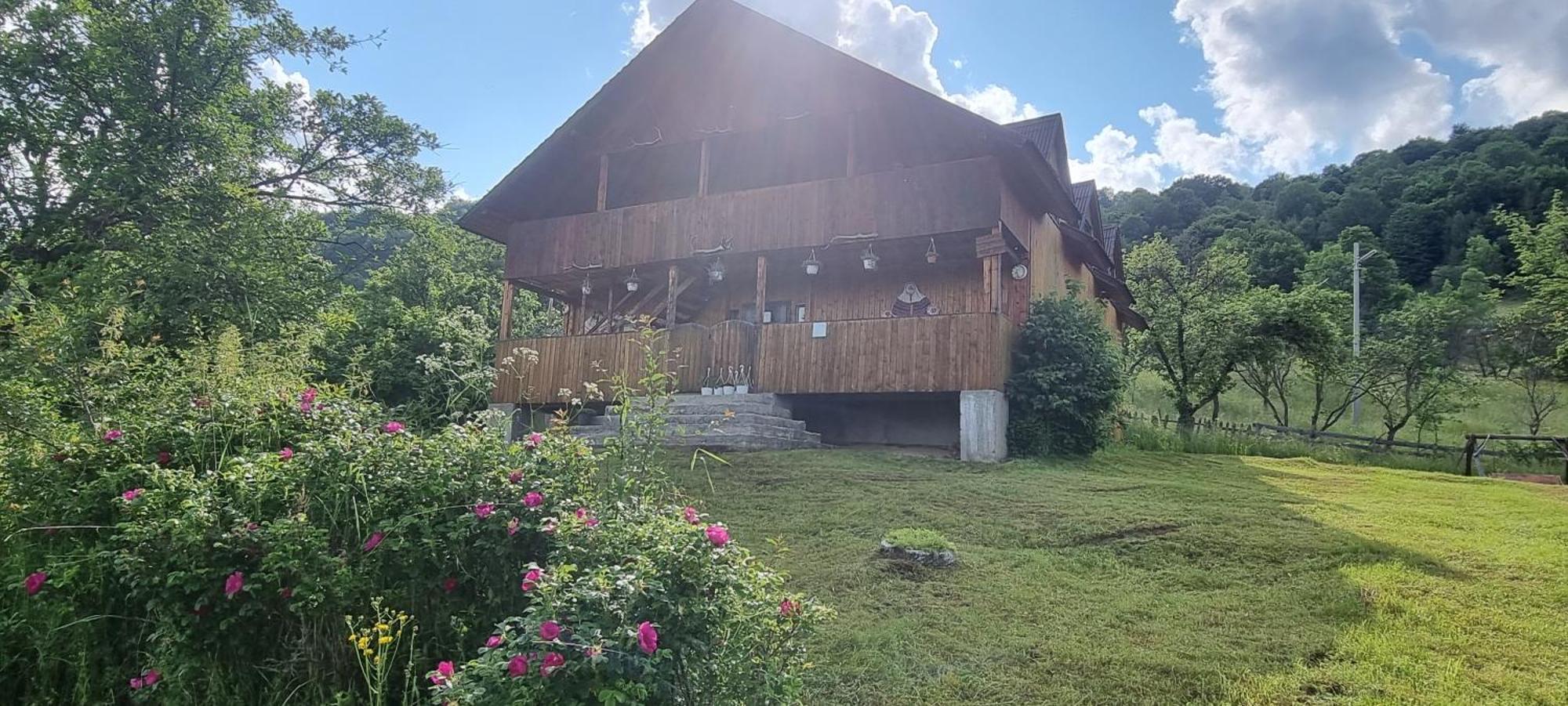 Cabana Suciu Villa Havasrekettye Kültér fotó